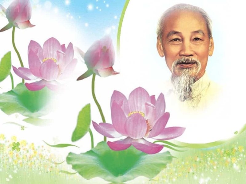 H&igrave;nh ảnh b&aacute;c Hồ với hoa sen