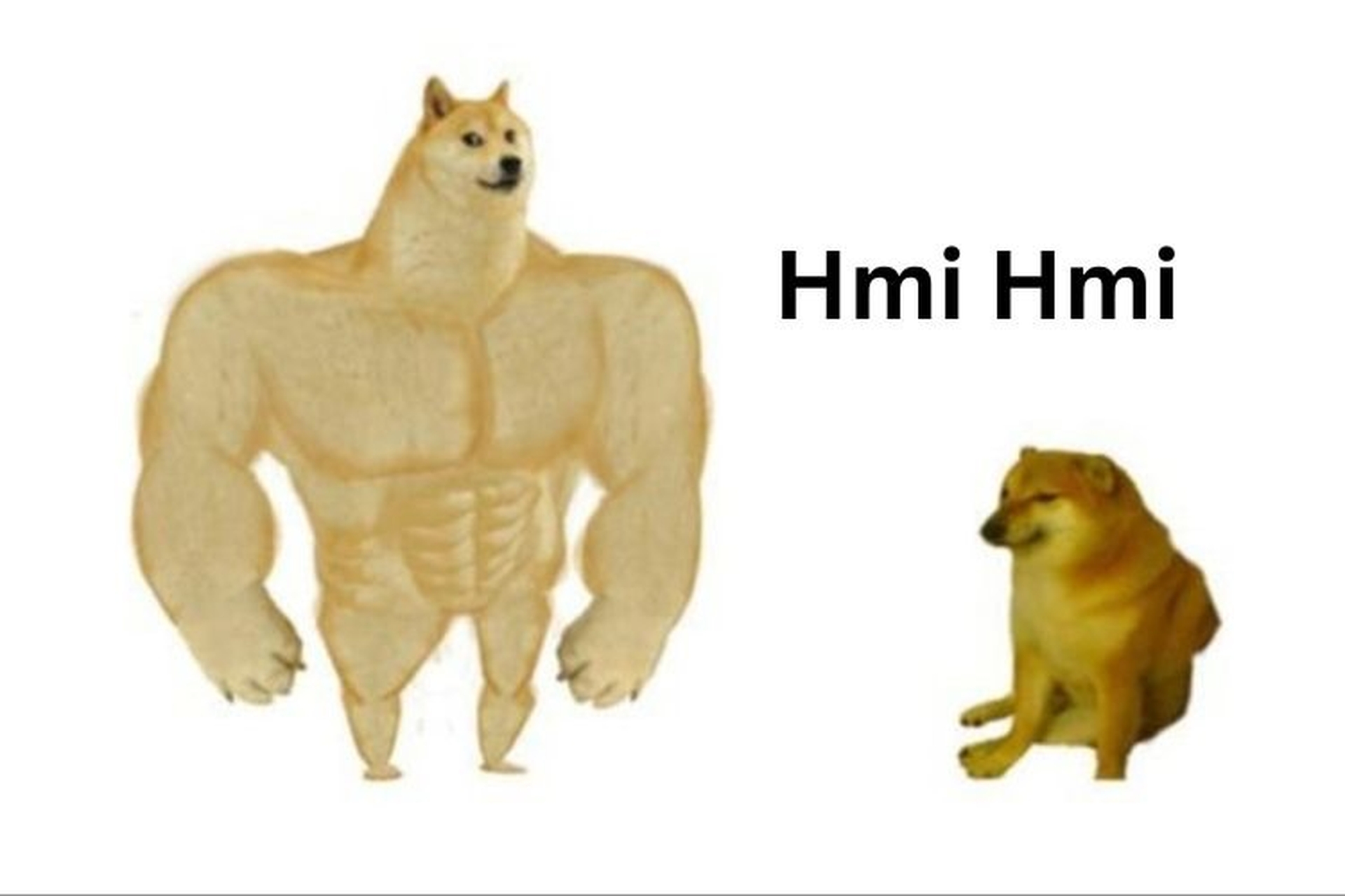 h&igrave;nh ảnh ch&oacute; meme kỷ niệm