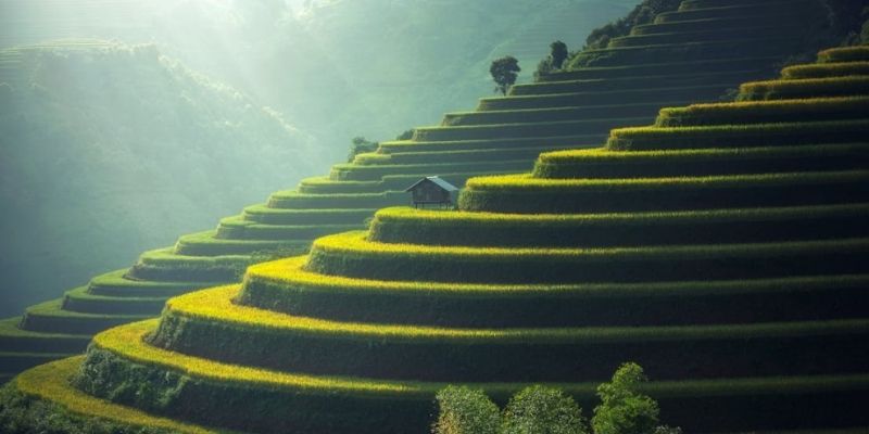 hình ảnh đẹp về thiên nhiên
