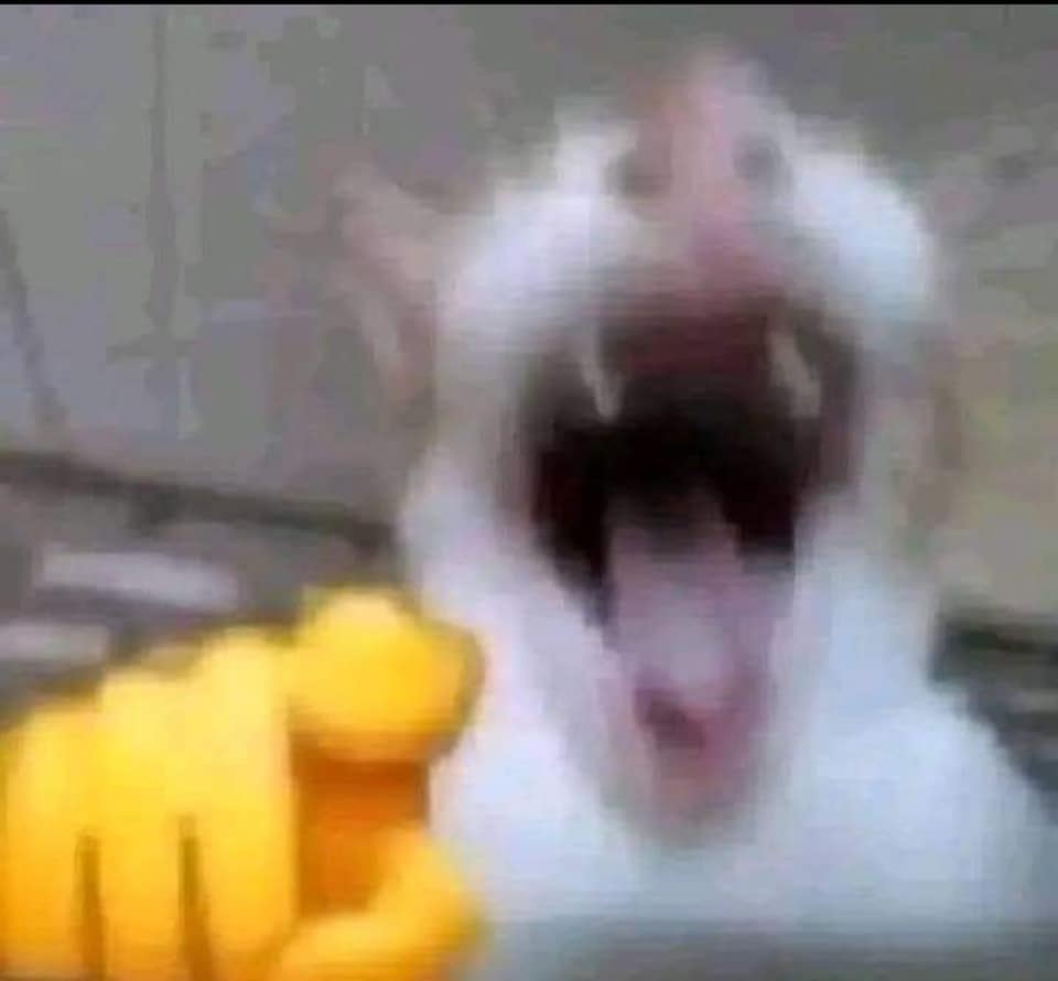 h&igrave;nh ảnh h&agrave; mồm meme m&egrave;o cười