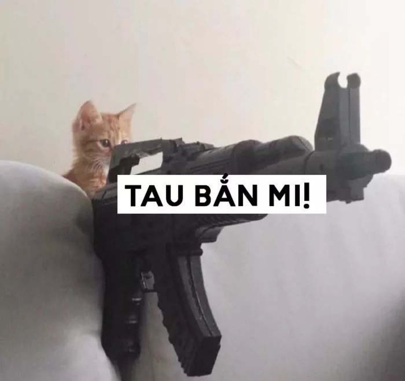 h&igrave;nh ảnh meme cầm s&uacute;ng