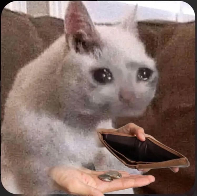 h&igrave;nh ảnh meme đưa tiền