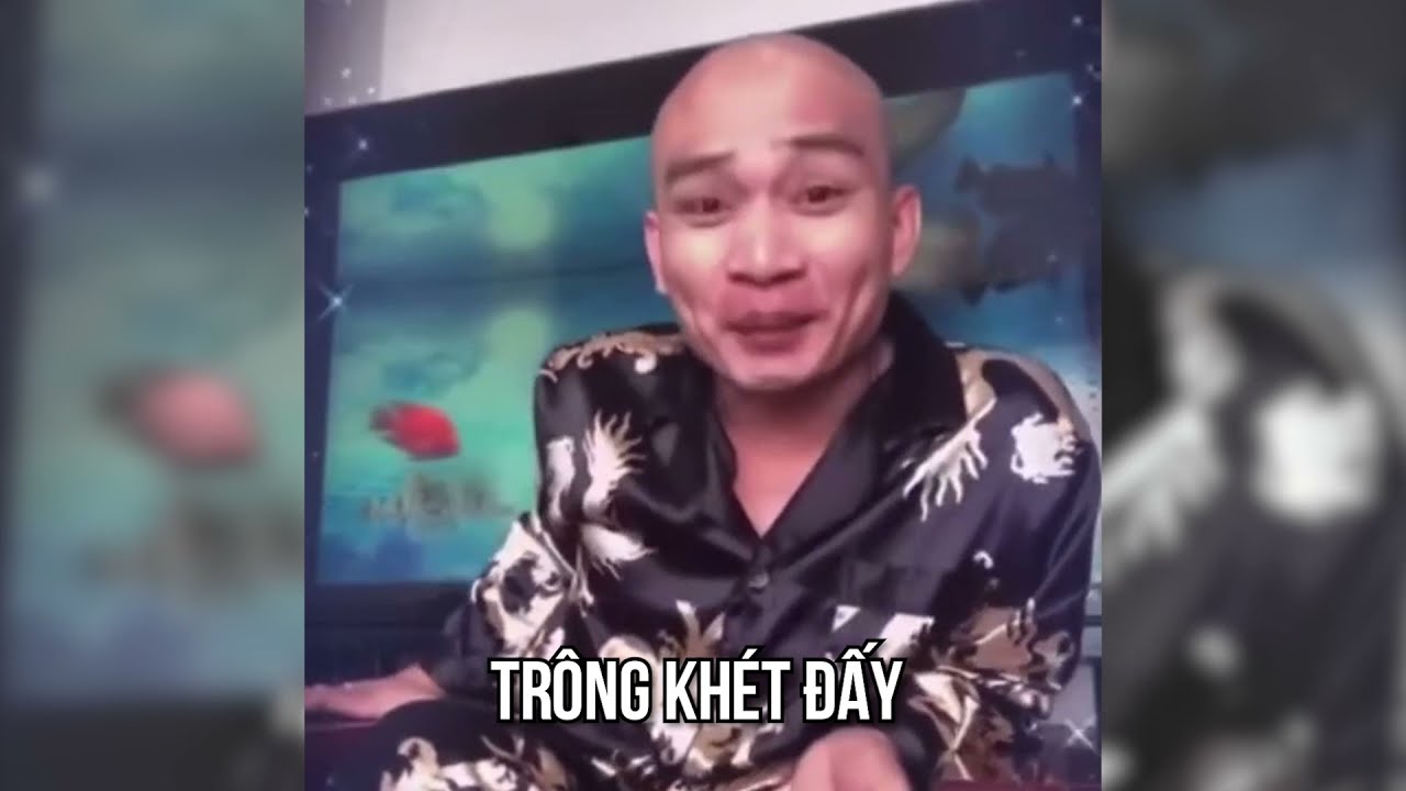 Sống động cùng meme Tiến Bịp: “thánh lầy” và những khoảnh khắc “cười ra nước mắt”