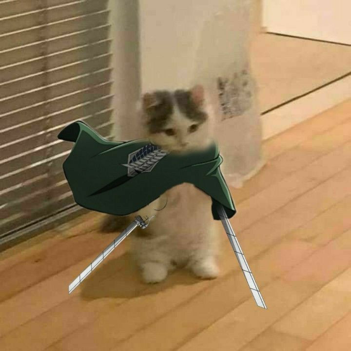 h&igrave;nh ảnh ph&oacute;ng lợn meme