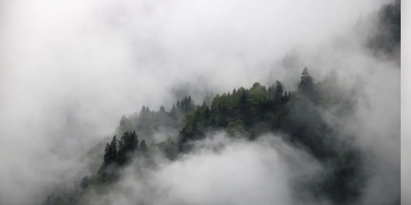 hình ảnh thiên nhiên đẹp nhất