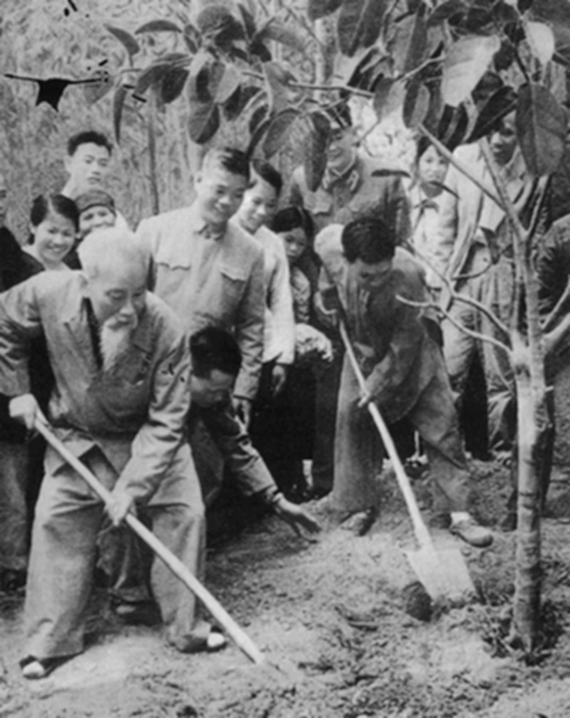 Ảnh B&aacute;c Hồ