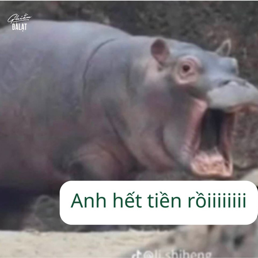 h&igrave;nh nền game đẹp