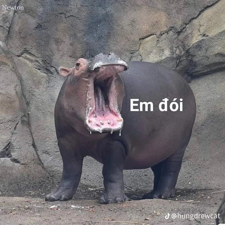 h&igrave;nh nền game phi&ecirc;u lưu
