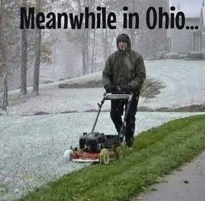 in Ohio meme
