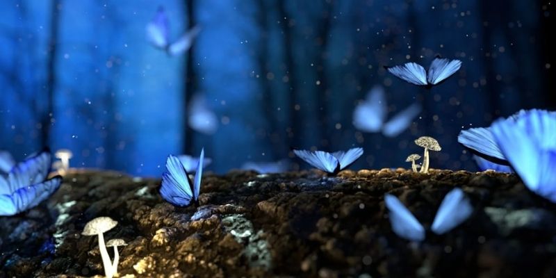 khám phá hình ảnh về cảnh đẹp thiên nhiên