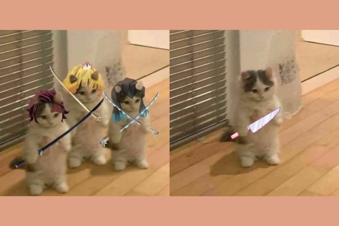 kh&aacute;m ph&aacute; sự phổ biến của m&egrave;o cầm dao meme.