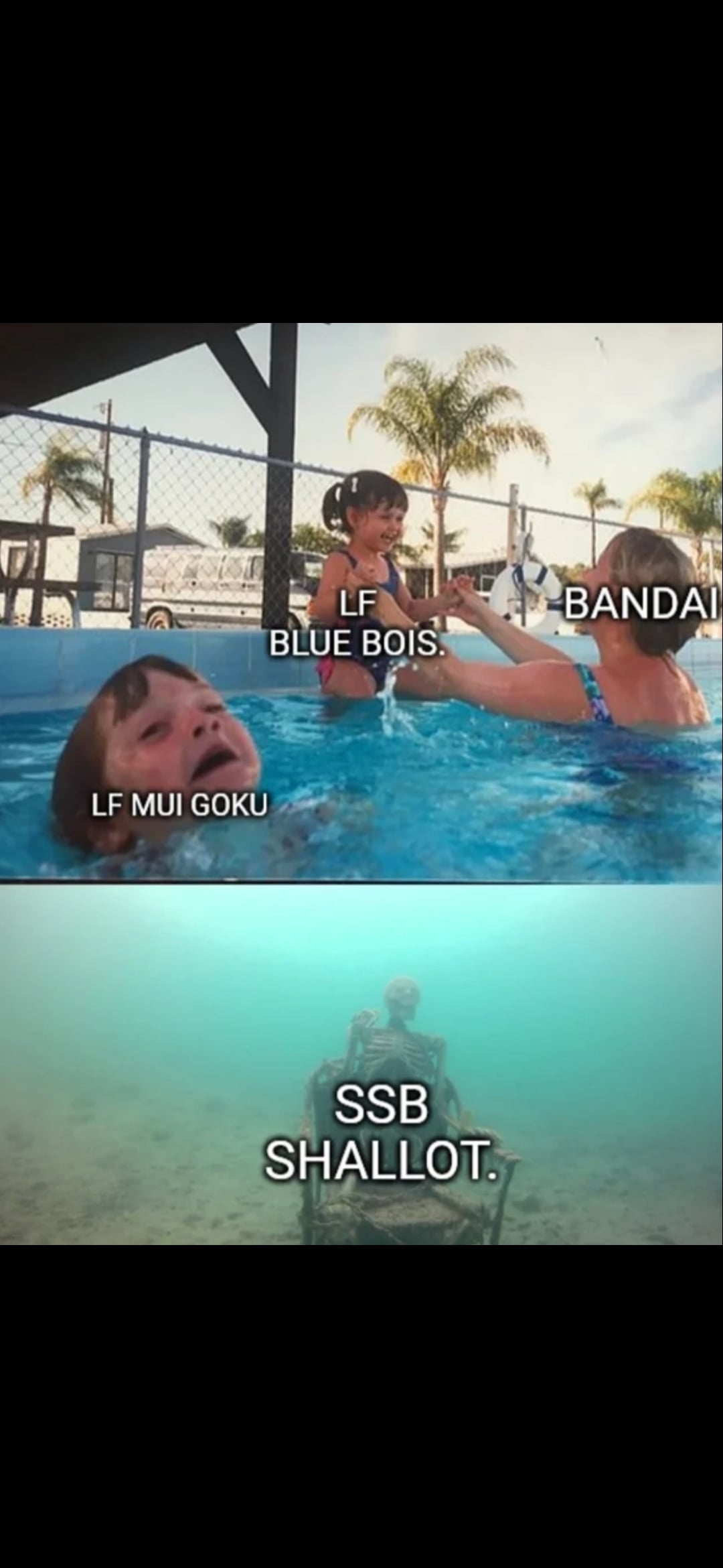 meme 6 m&uacute;i 0022