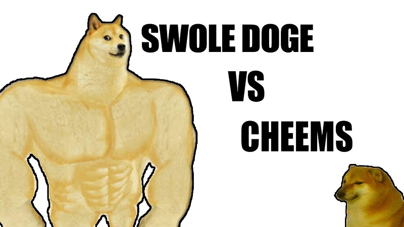 meme 6 m&uacute;i 0028