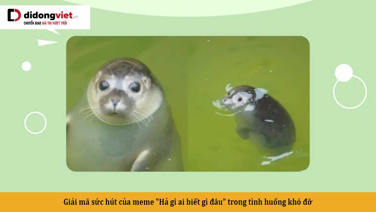 meme ai biết g&igrave; đ&acirc;u mới nhất