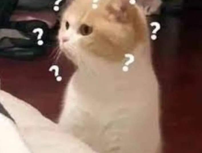 meme ai biết g&igrave; đ&acirc;u thịnh h&agrave;nh