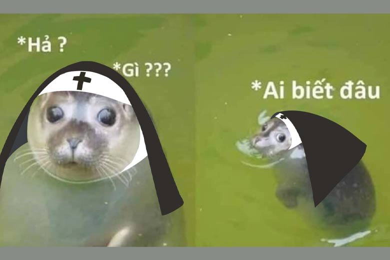 meme ai biết g&igrave; đ&acirc;u