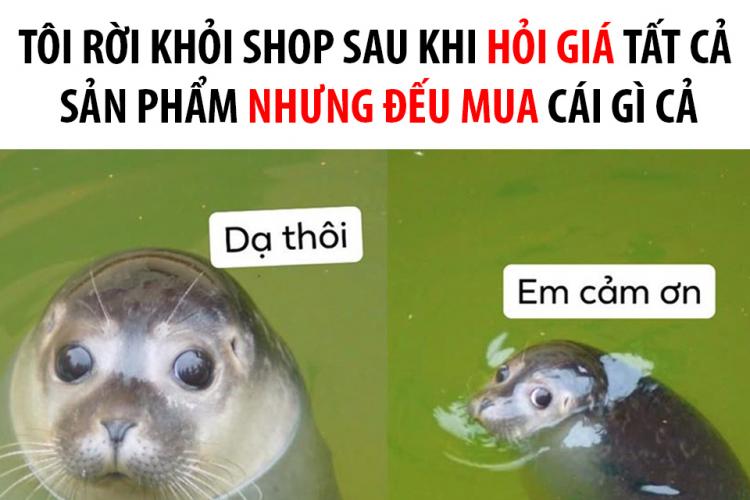 meme ai biết g&igrave; đ&acirc;u 0047