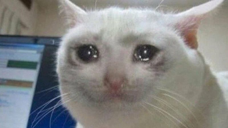 Tạo điểm nhấn với meme buồn – những khoảnh khắc xúc động đầy ý nghĩa