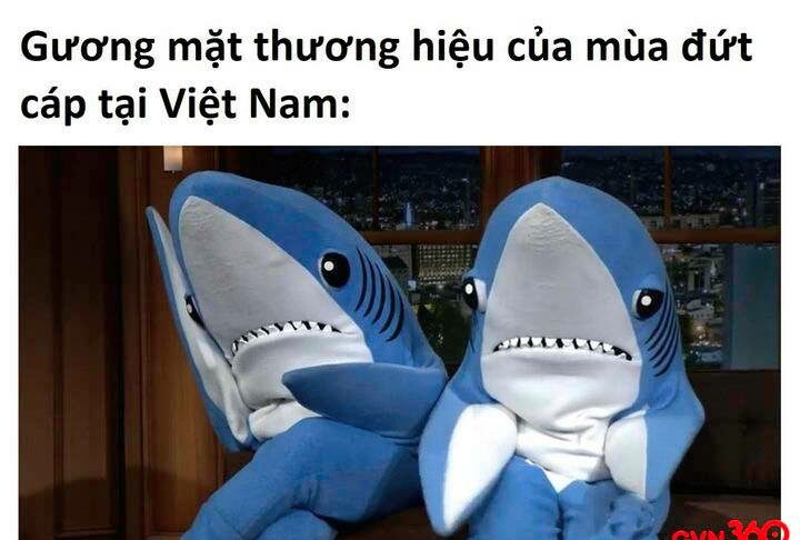 meme c&aacute; mập dễ thương