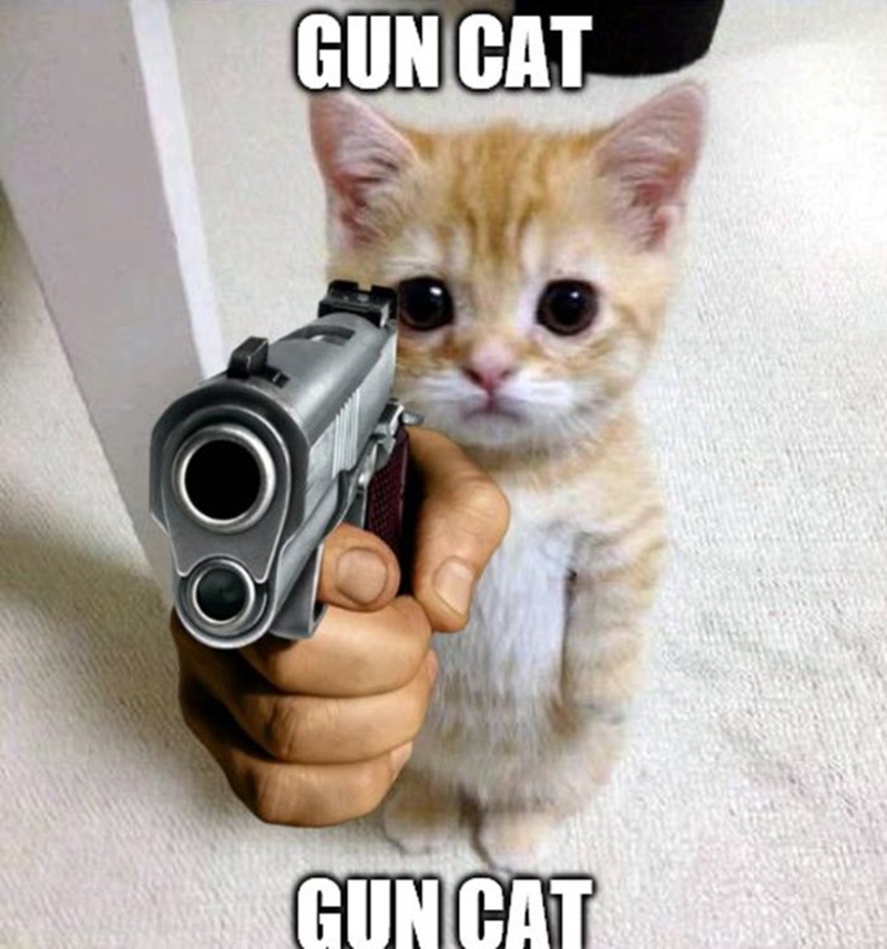 meme cầm s&uacute;ng h&agrave;i hước