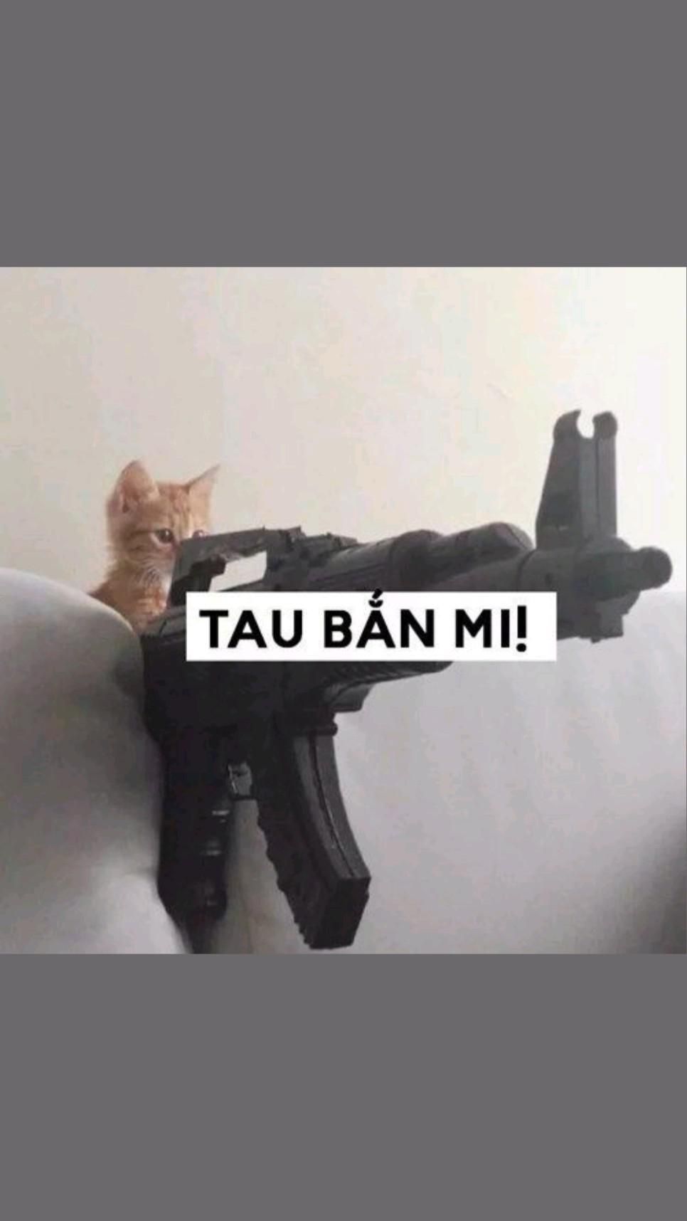 meme cầm s&uacute;ng remix.