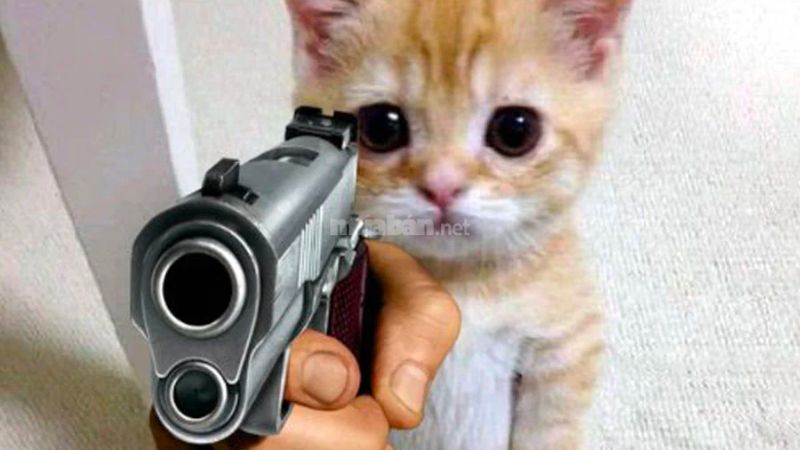 meme cầm s&uacute;ng s&aacute;ng tạo