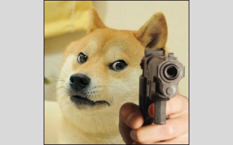 meme cầm s&uacute;ng 0022