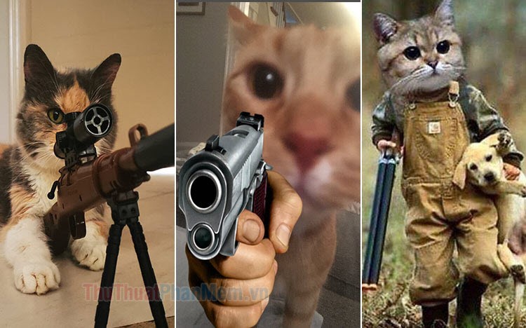 meme cầm s&uacute;ng 0044