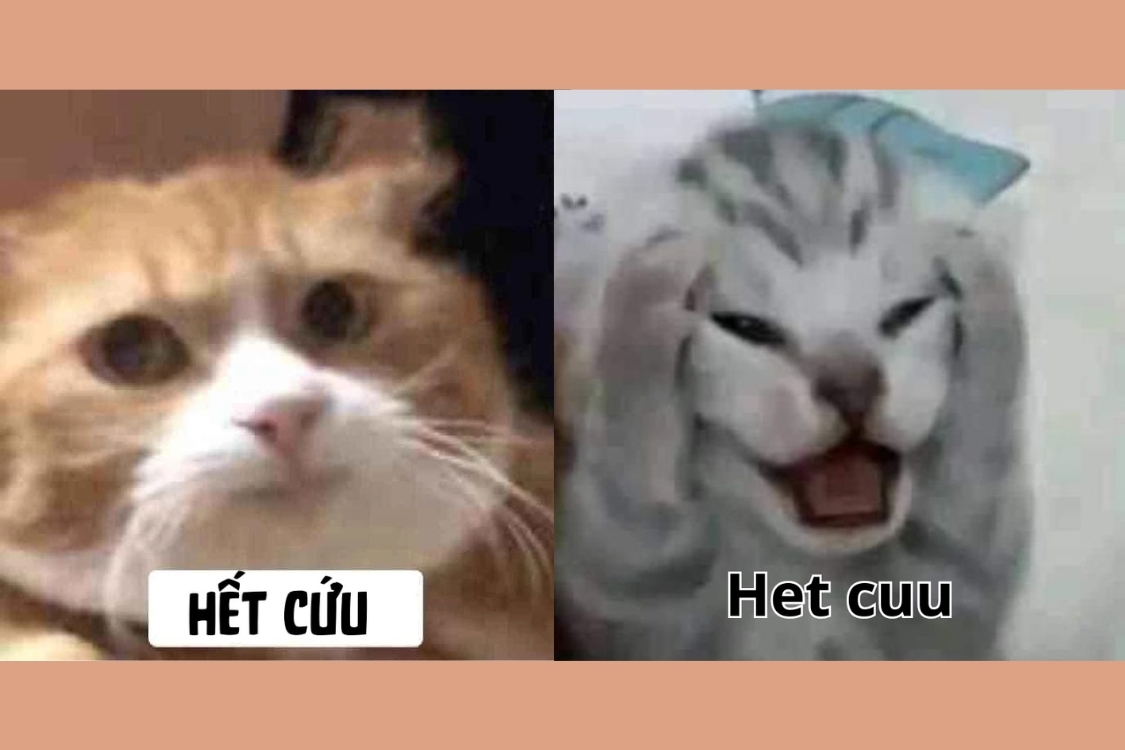 meme cạn lời th&uacute; vị