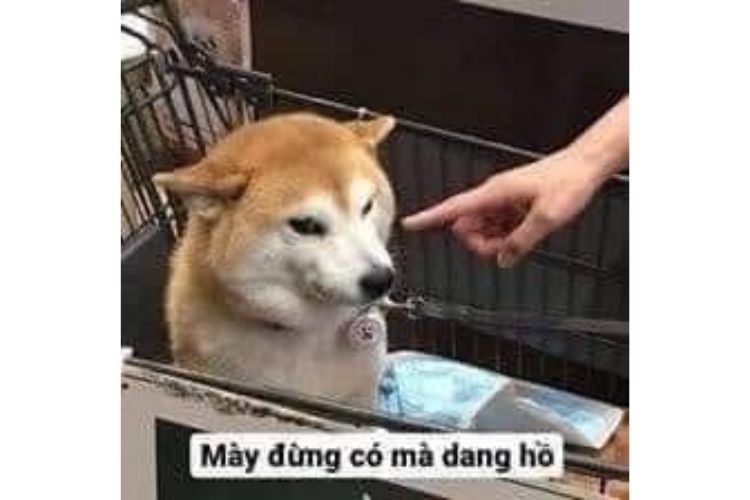meme chỉ tay d&agrave;nh cho game thủ
