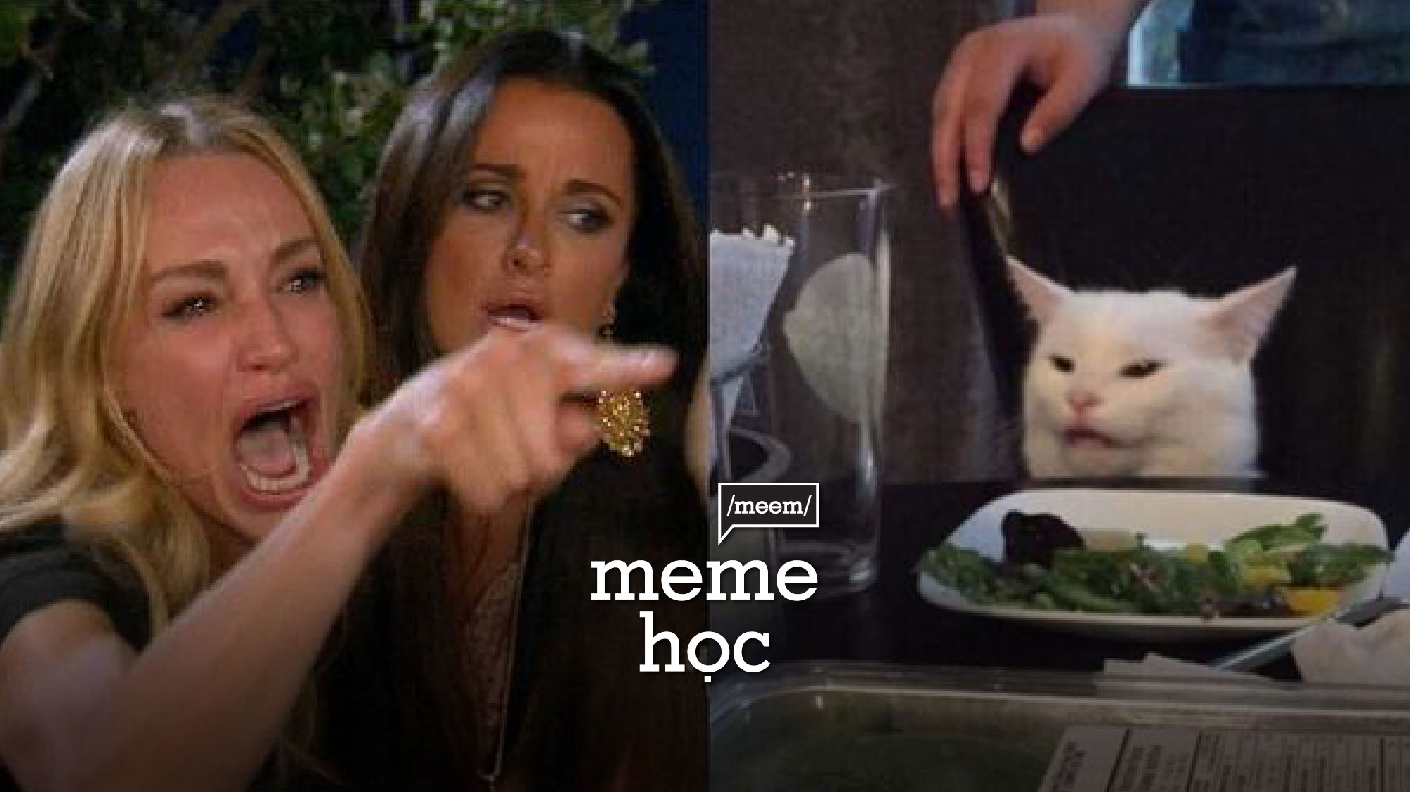 meme chỉ tay phong c&aacute;ch