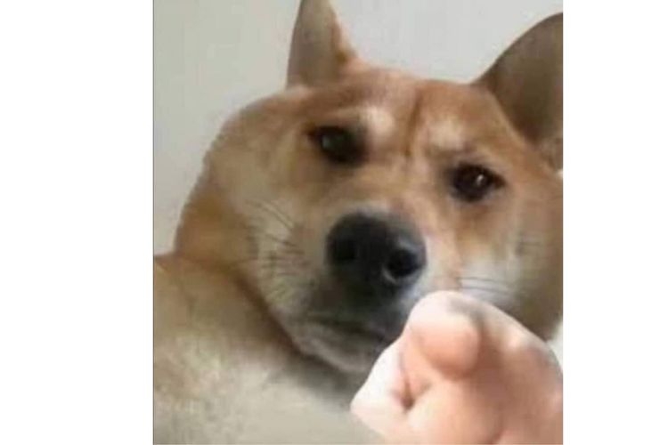 meme chỉ tay &yacute; nghĩa