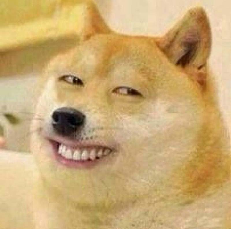Meme chó cười – tìm cảm giác mới mẻ với liều thuốc tinh thần cho ngày mới