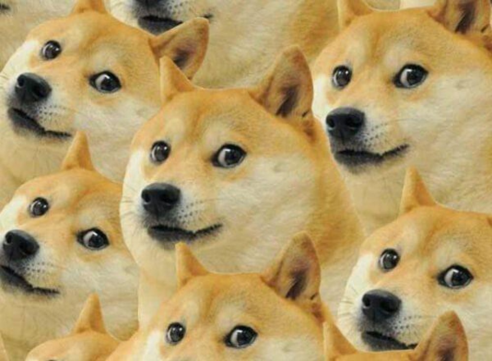meme ch&oacute; shiba dễ thương