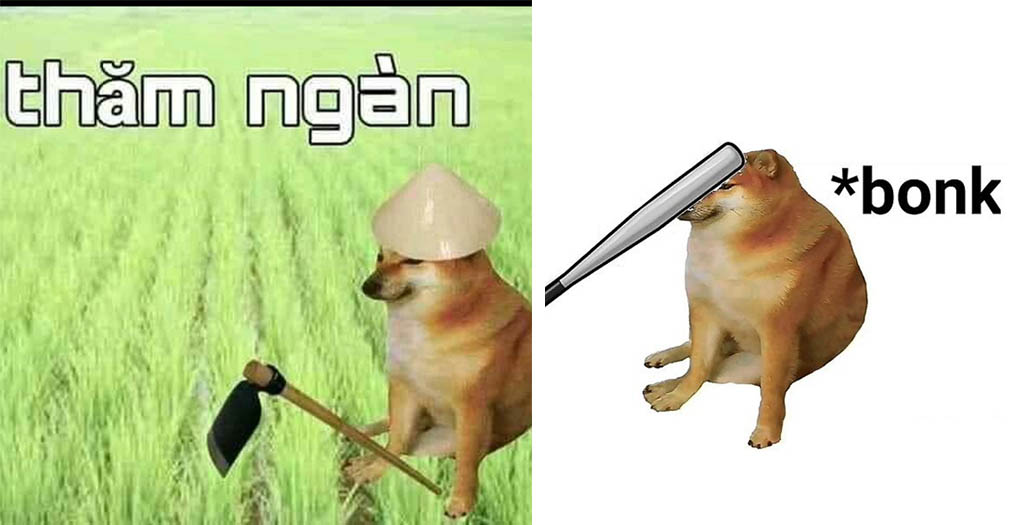 meme ch&oacute; shiba ngộ nghĩnh
