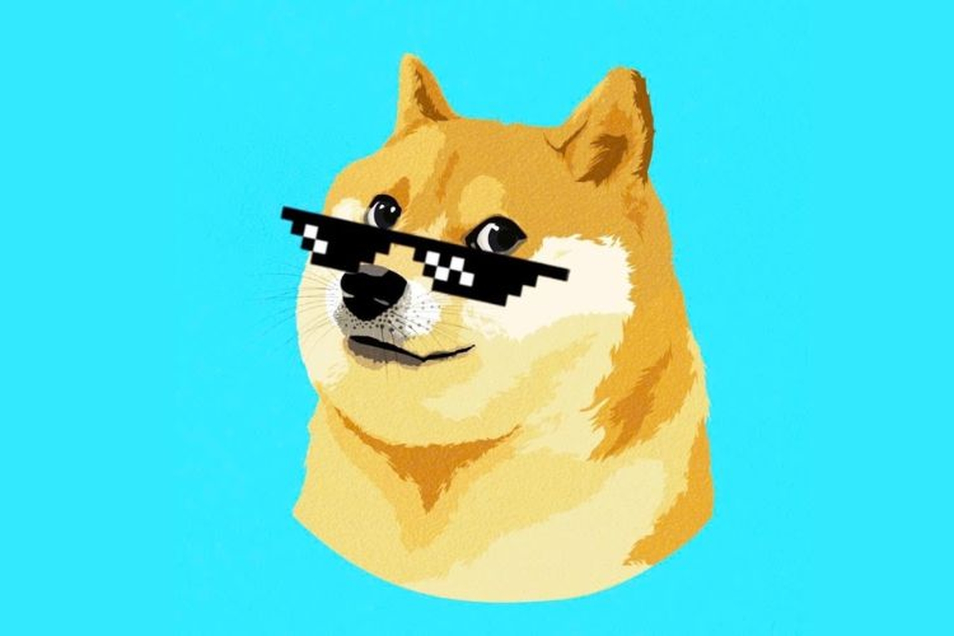 meme ch&oacute; shiba
