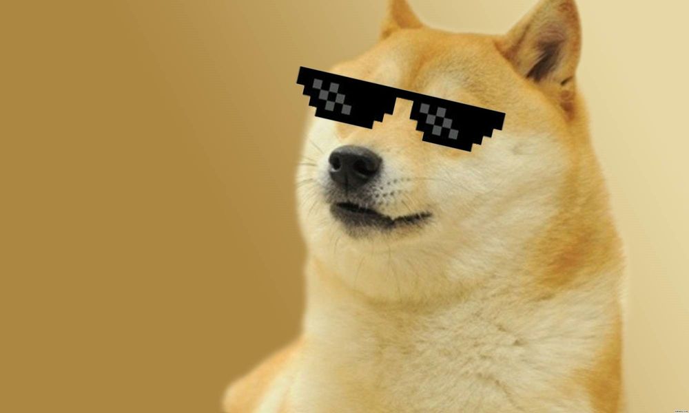 meme ch&oacute; shiba 0030