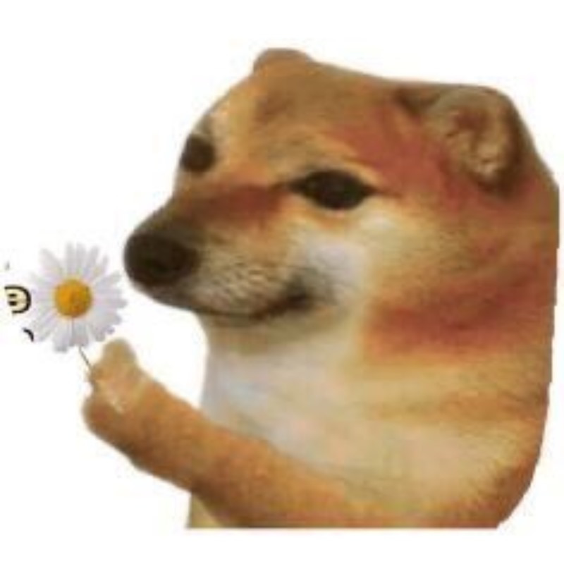 meme ch&oacute; shiba 0034