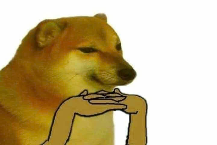meme ch&oacute; shiba 0035
