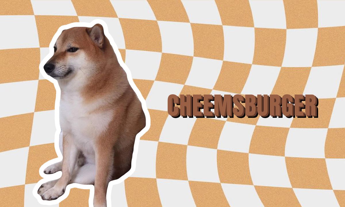 meme ch&oacute; shiba 0036