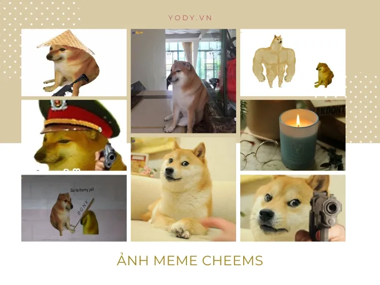 meme ch&oacute; shiba 0037