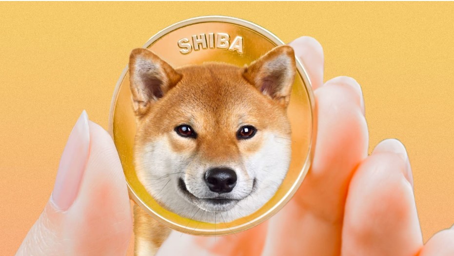 meme ch&oacute; shiba 0040