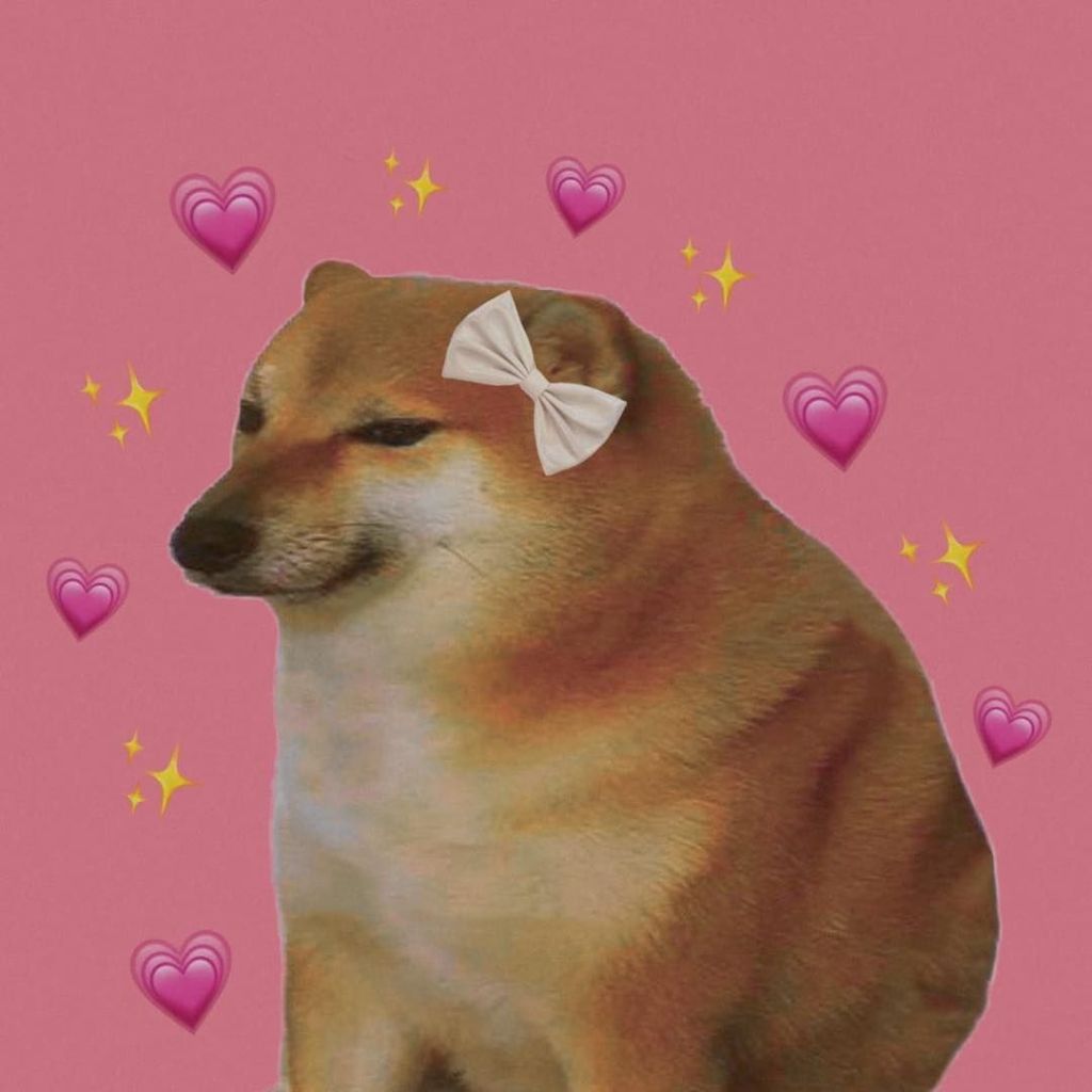 meme ch&oacute; shiba 0049