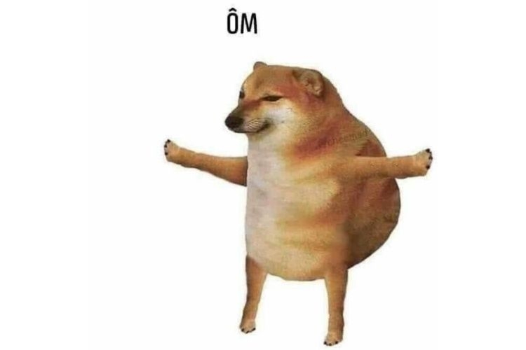 meme ch&oacute; th&uacute; cưng