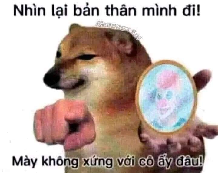 meme ch&uacute; hề 0039