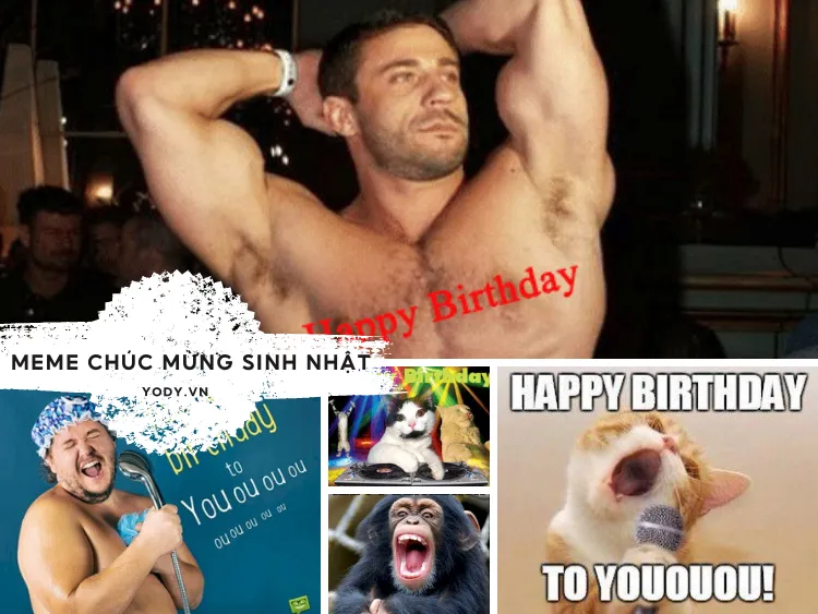 meme ch&uacute;c mừng sinh nhật kiểu mới
