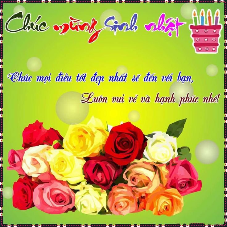 meme ch&uacute;c mừng sinh nhật trending