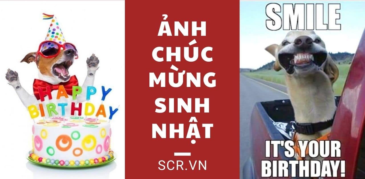 meme ch&uacute;c mừng sinh nhật 0037