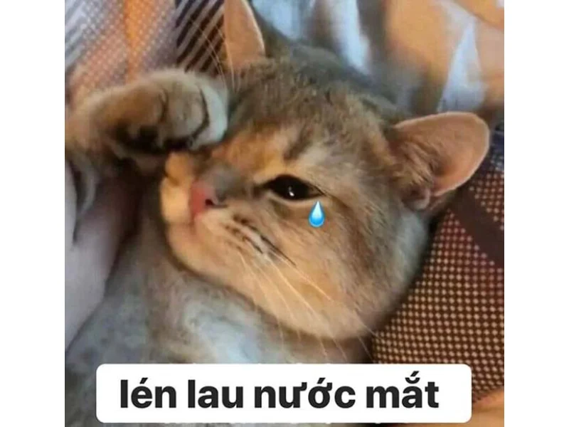 Meme đau tim: màn hình sinh động hơn với