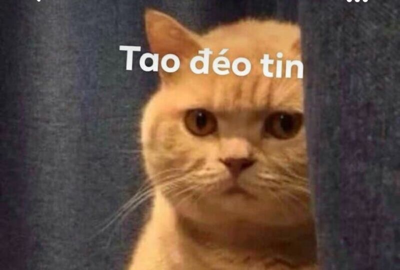 meme đ&eacute;o tin h&agrave;i hước